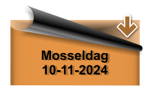 Mosseldag 10-11-2024